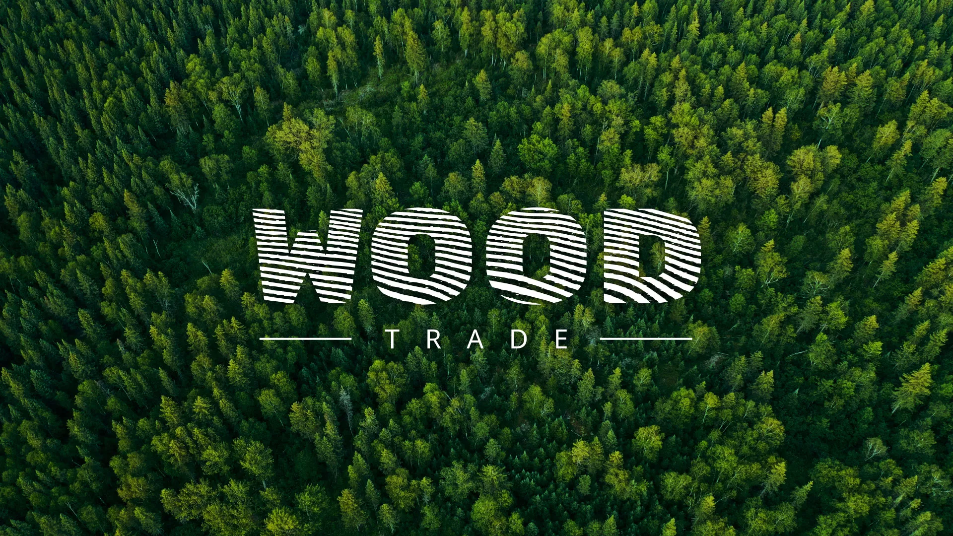 Разработка интернет-магазина компании «Wood Trade» в Сосновом Боре
